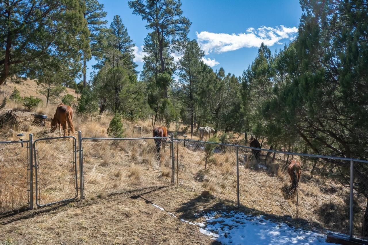 Howl At The Moon Villa Ruidoso Esterno foto
